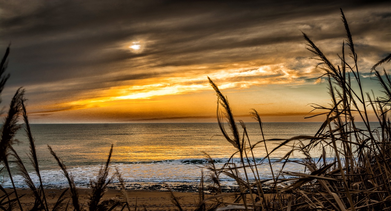 sea sunset sand free photo