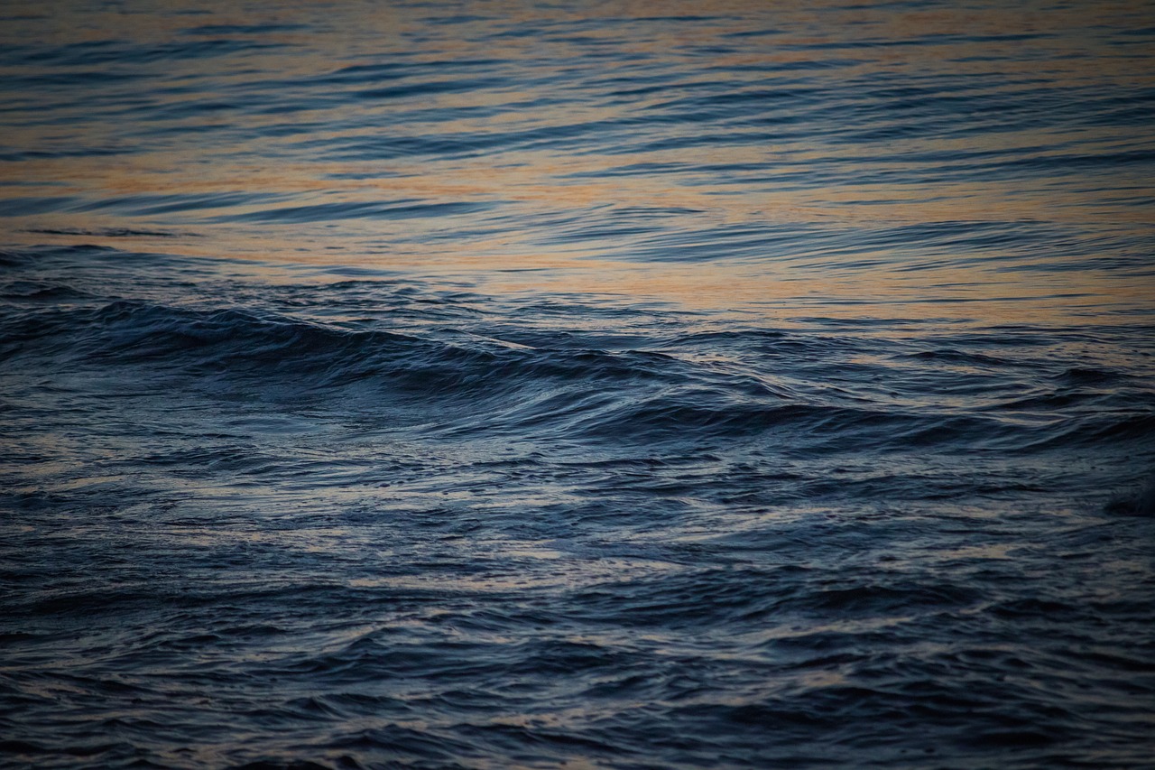 sea coast waves free photo