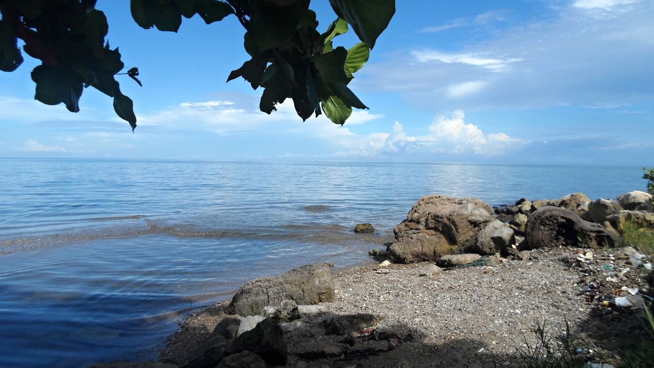 sea water sunny free photo