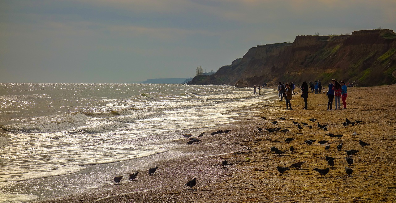 sea beach people free photo