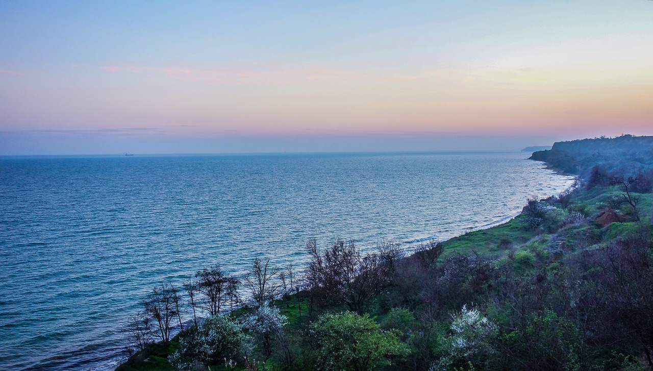 sea forest sunset free photo