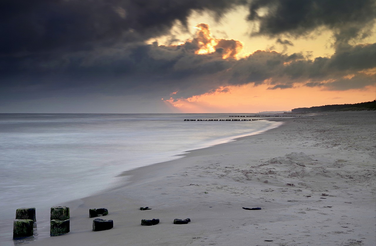 sea beach dawn free photo