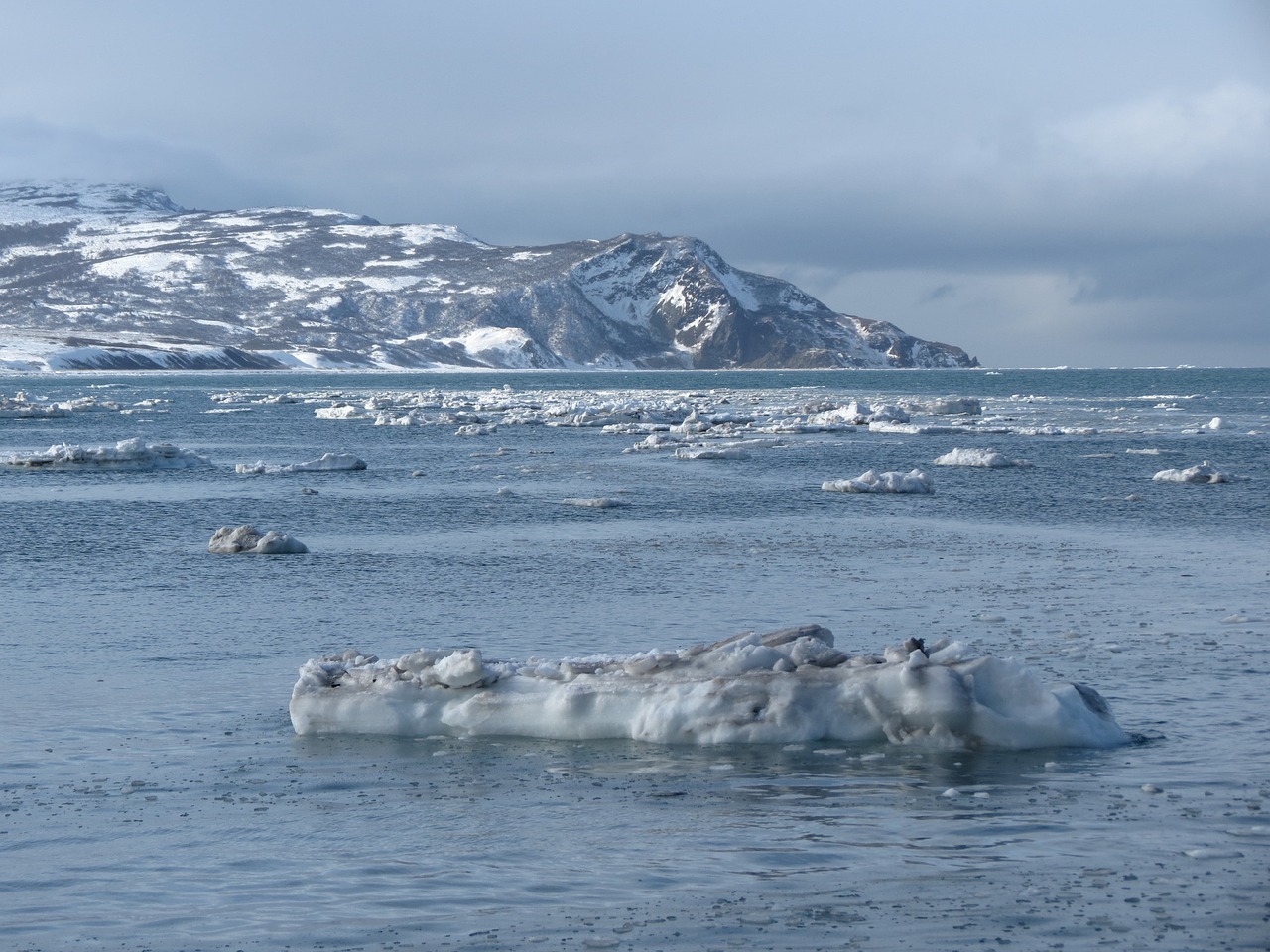 sea ice beach free photo