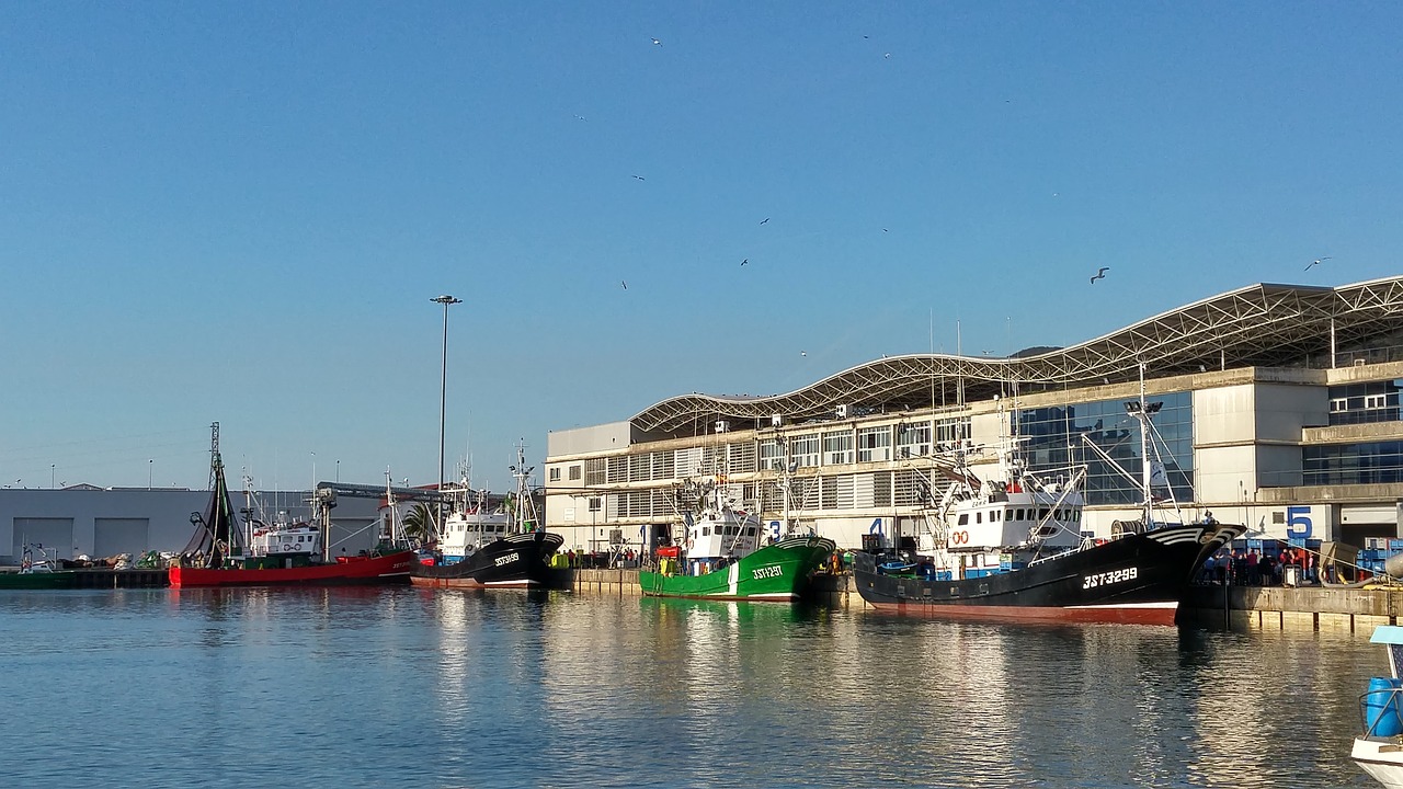 sea port cantabria boats free photo