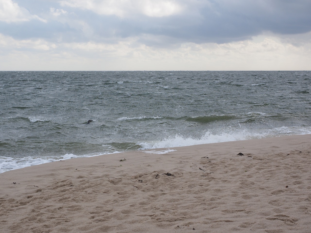 sea water sylt free photo