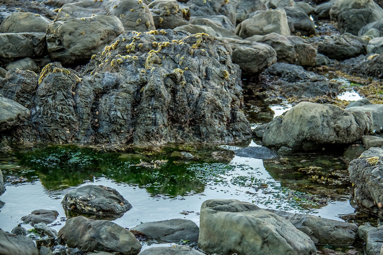 sea rocks seabed free photo