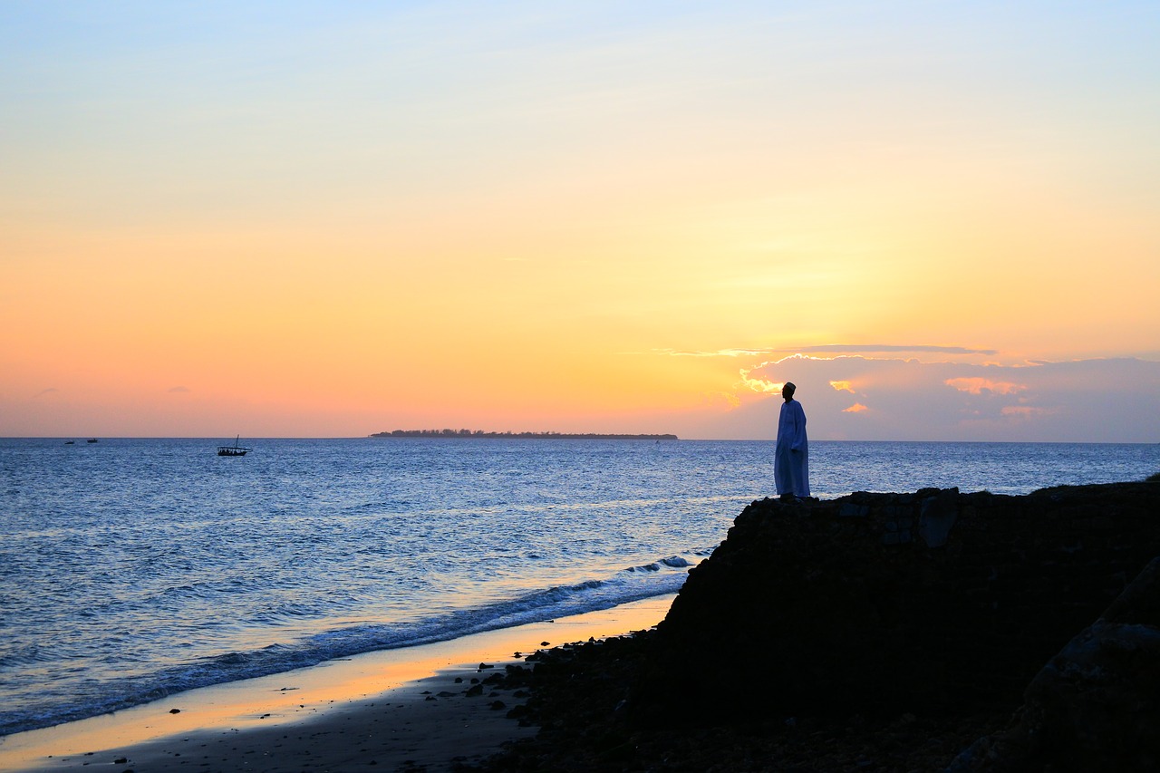 sea zanzibar beach free photo