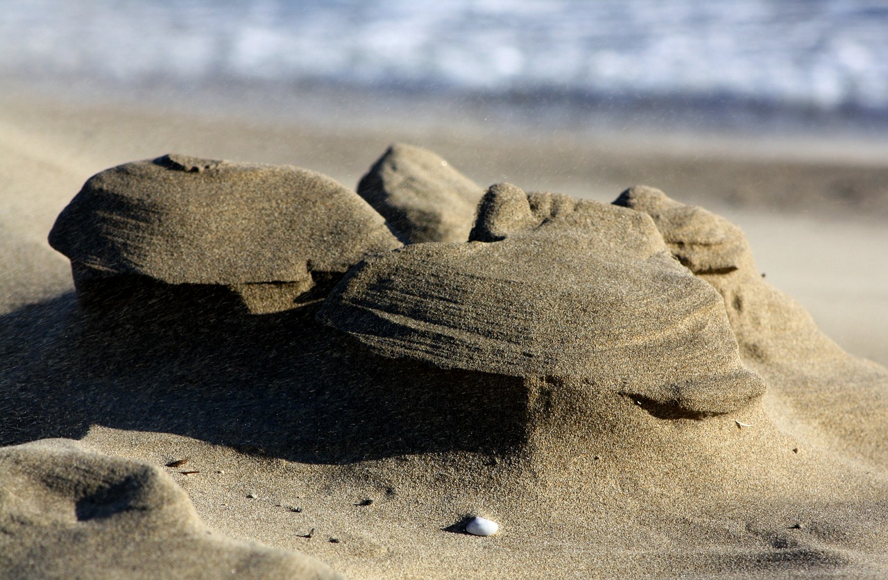 sea beach sand free photo