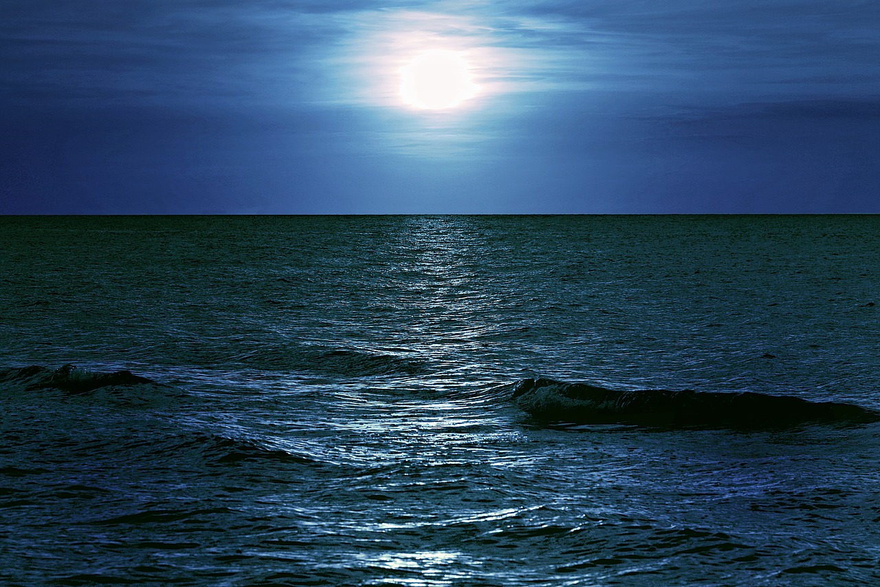 sea night moon free photo