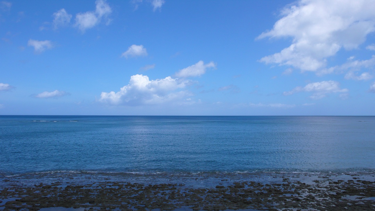 sea sky sunny free photo