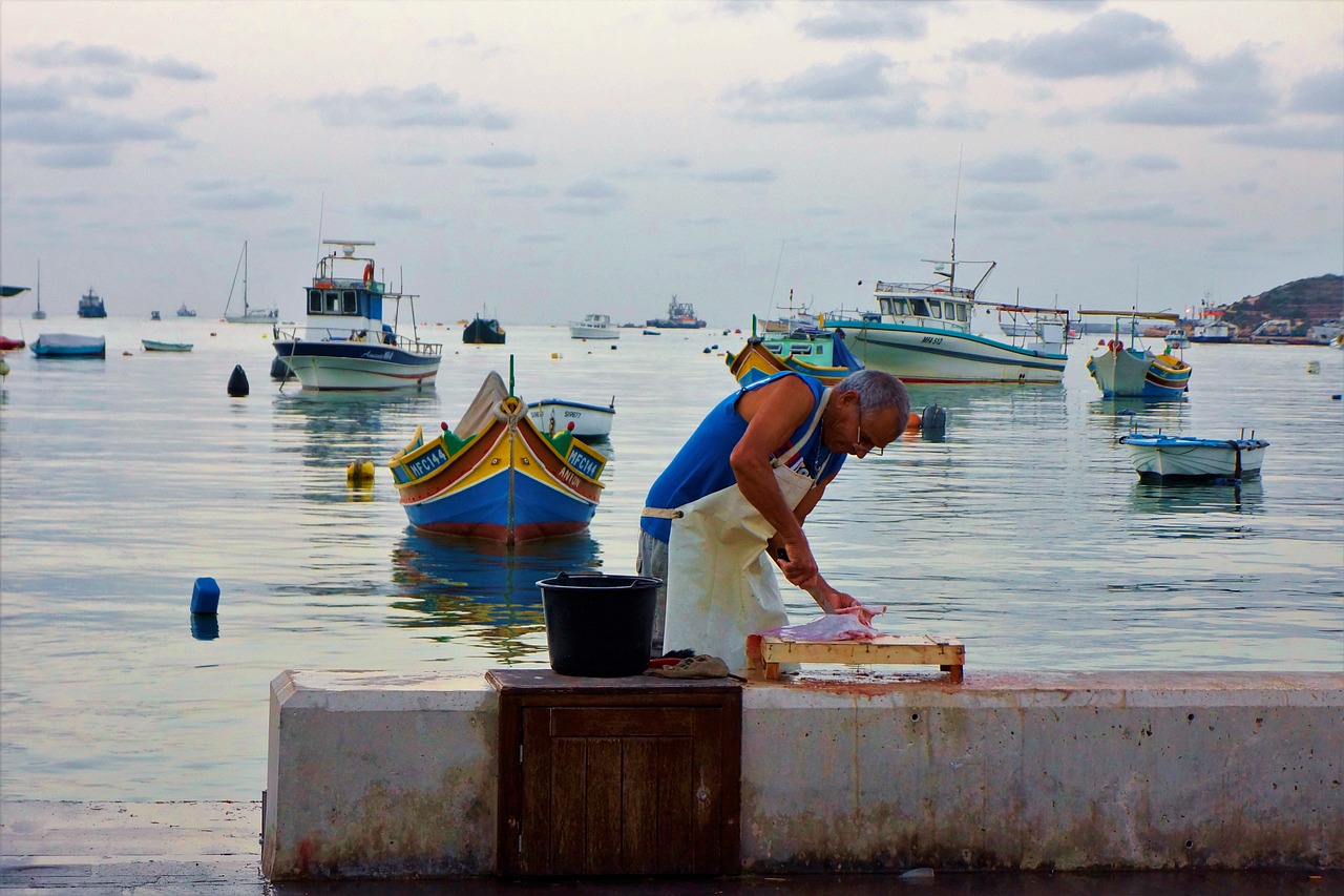 sea fish market free photo