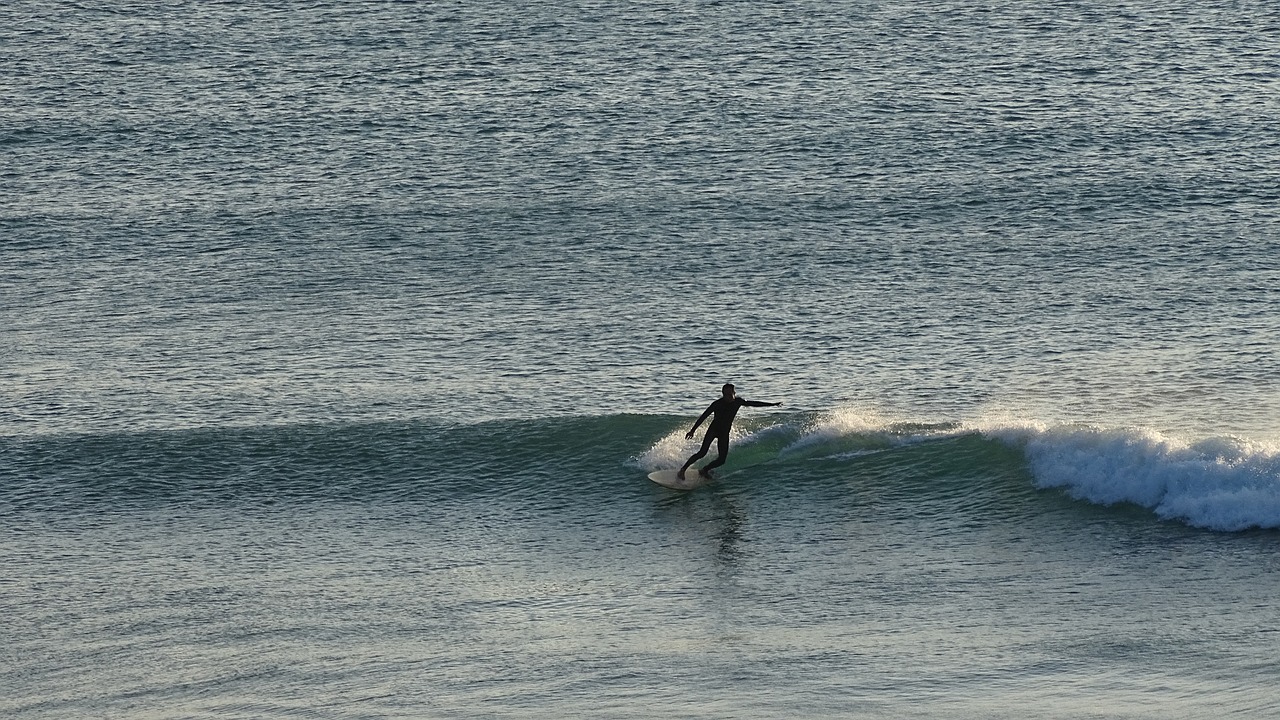 sea coast surfing free photo