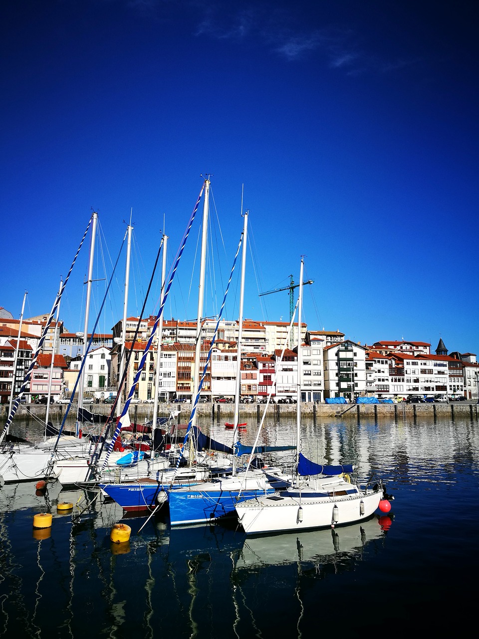 sea body of water yacht free photo