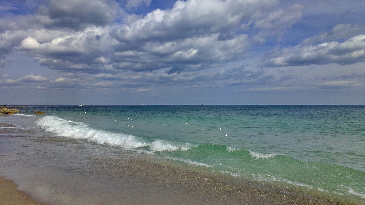 sea beach sky free photo