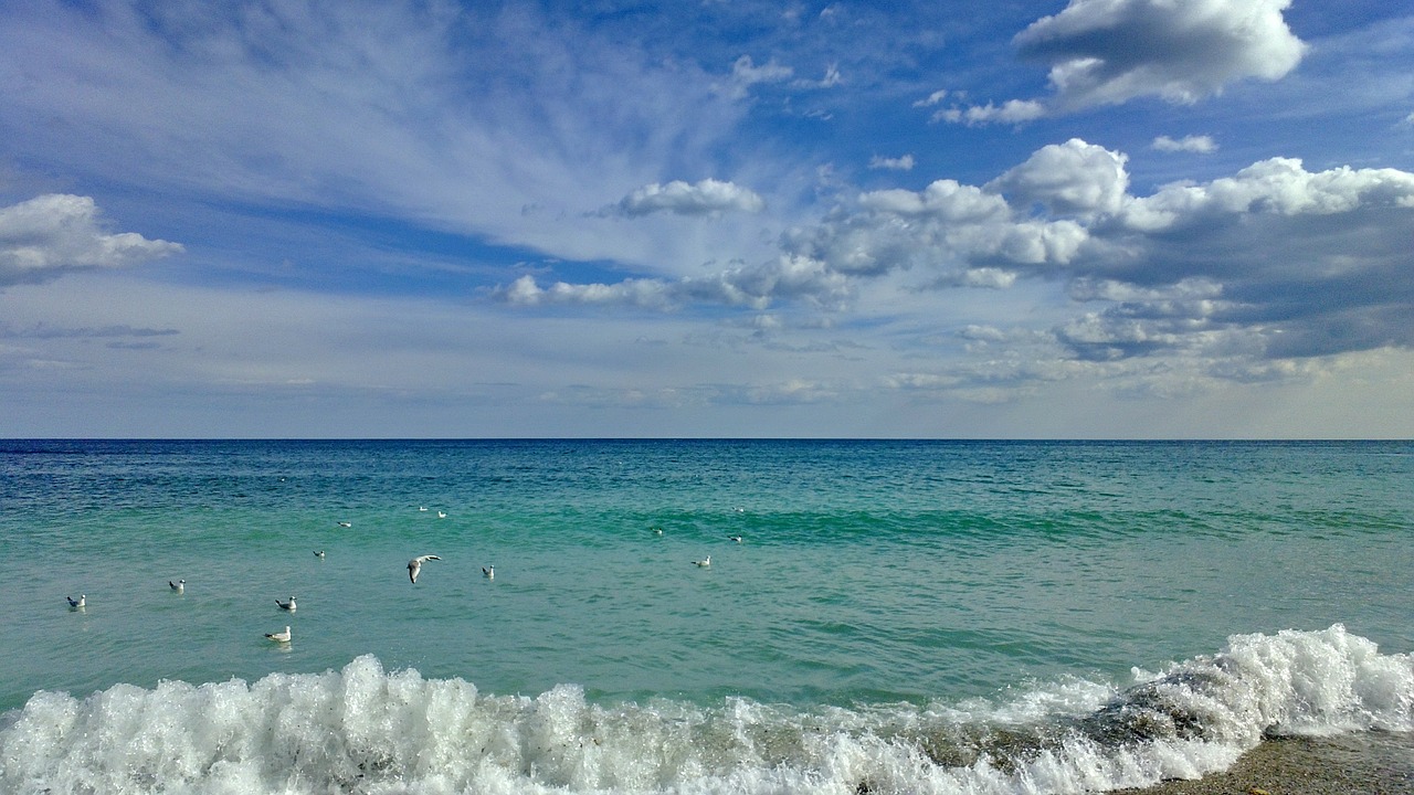 sea beach sky free photo