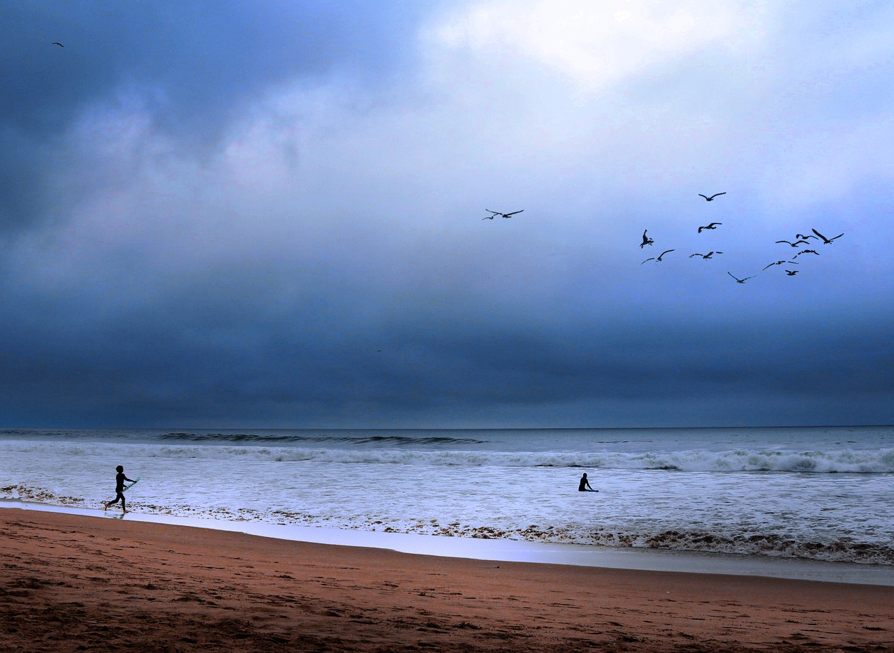 sea beach waters free photo