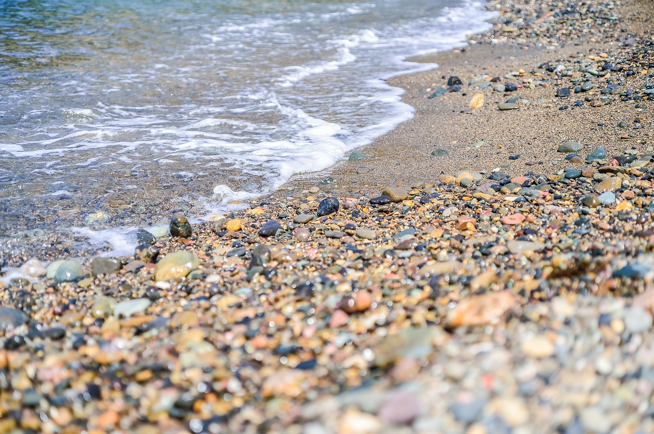 sea coast beach free photo