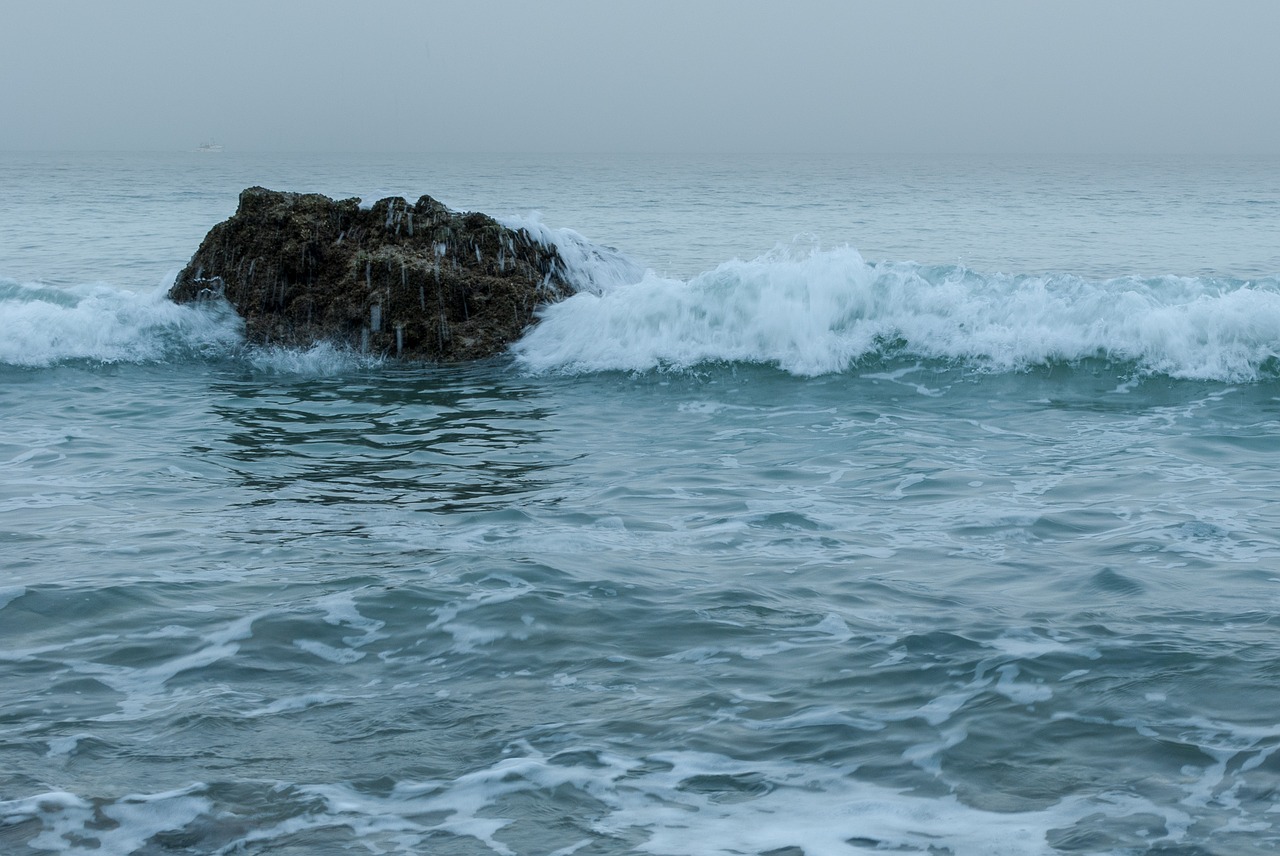 sea body of water ocean free photo