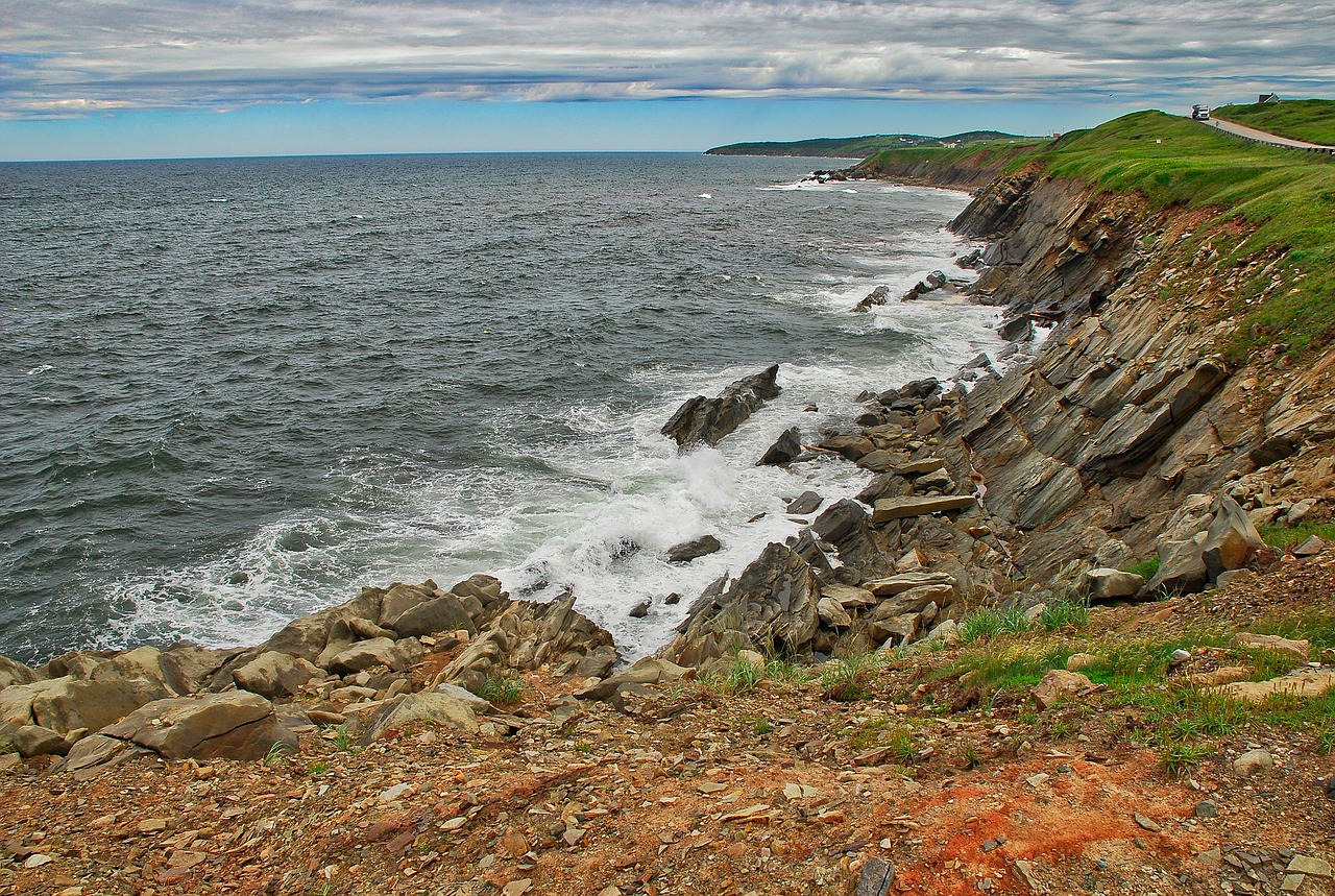 sea seashore water free photo