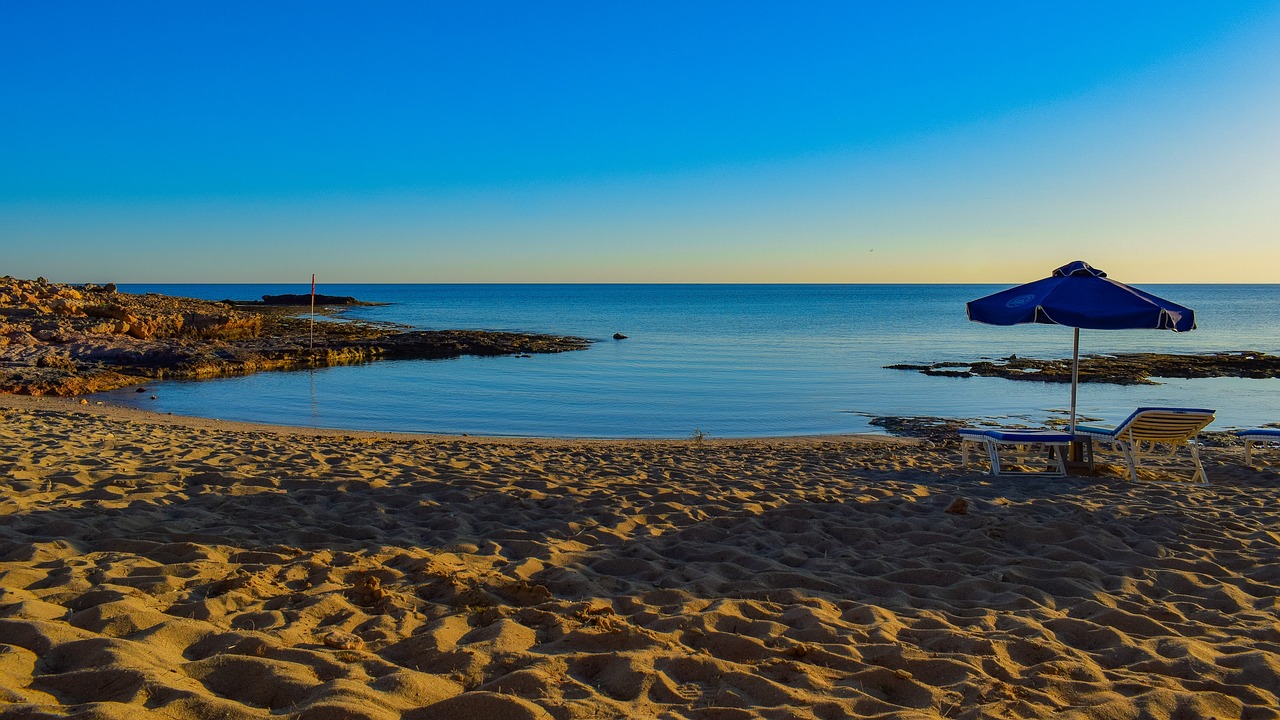 sea beach seashore free photo