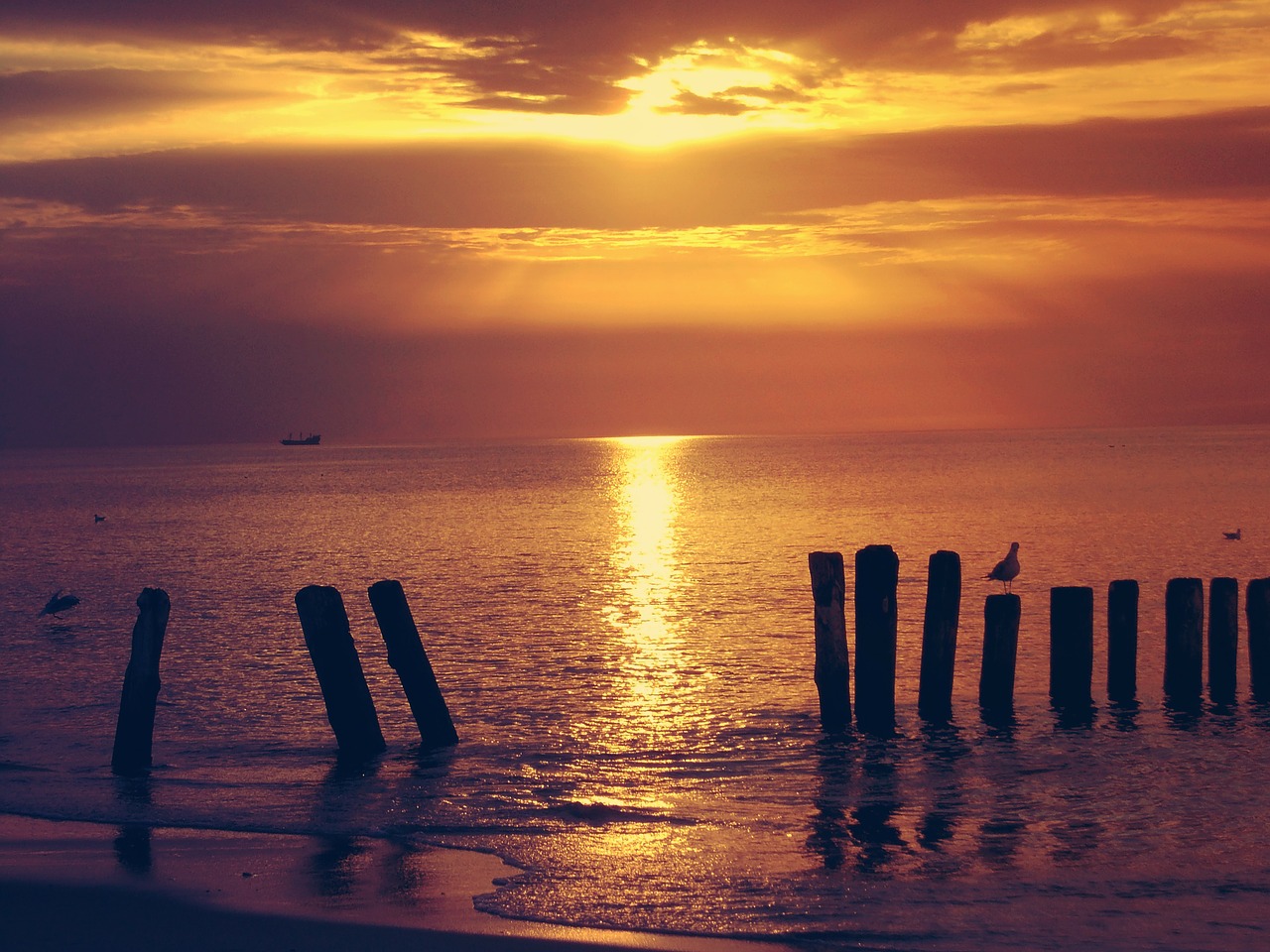 sea landscape sunset free photo