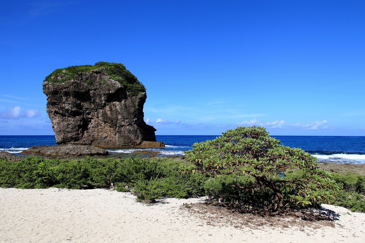 sea  coast  waters free photo