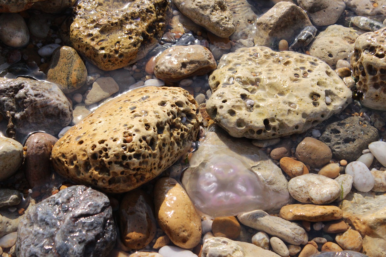 sea pebbles water free photo