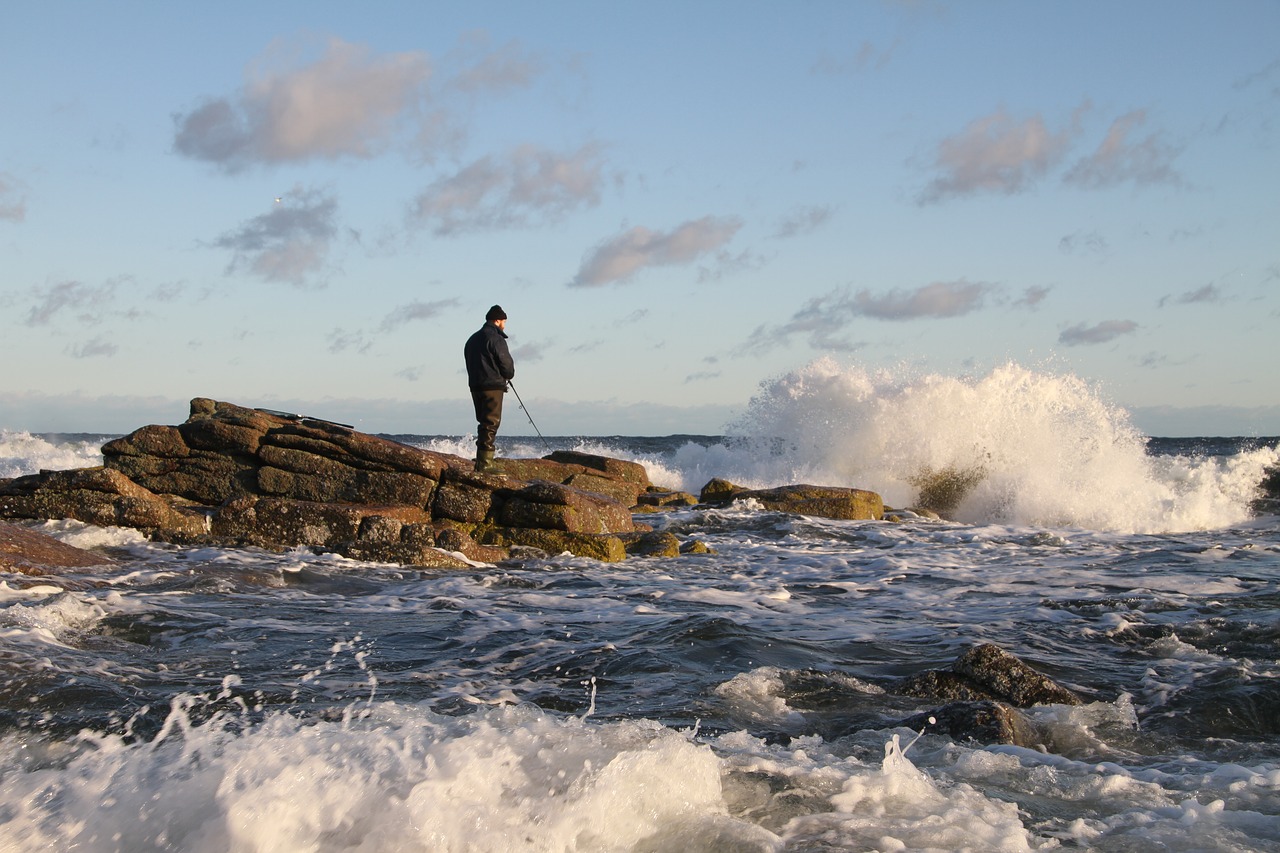 sea  sea trout fishing  sea trout free photo