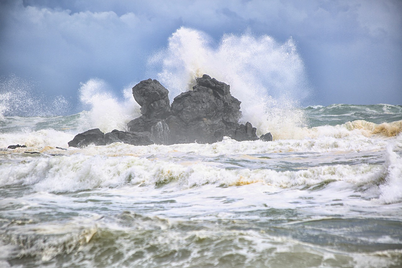 sea  rock  wave free photo