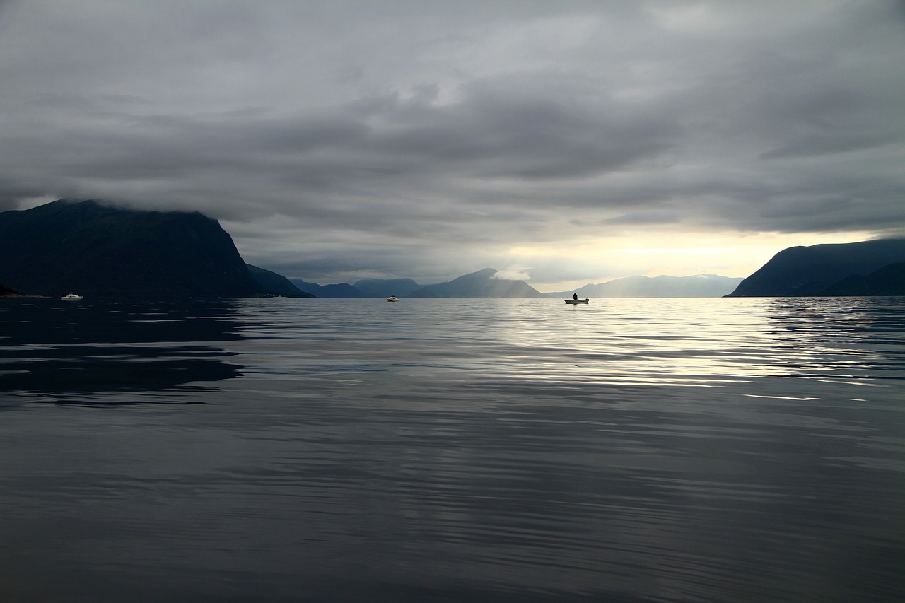 sea  fish  norway free photo