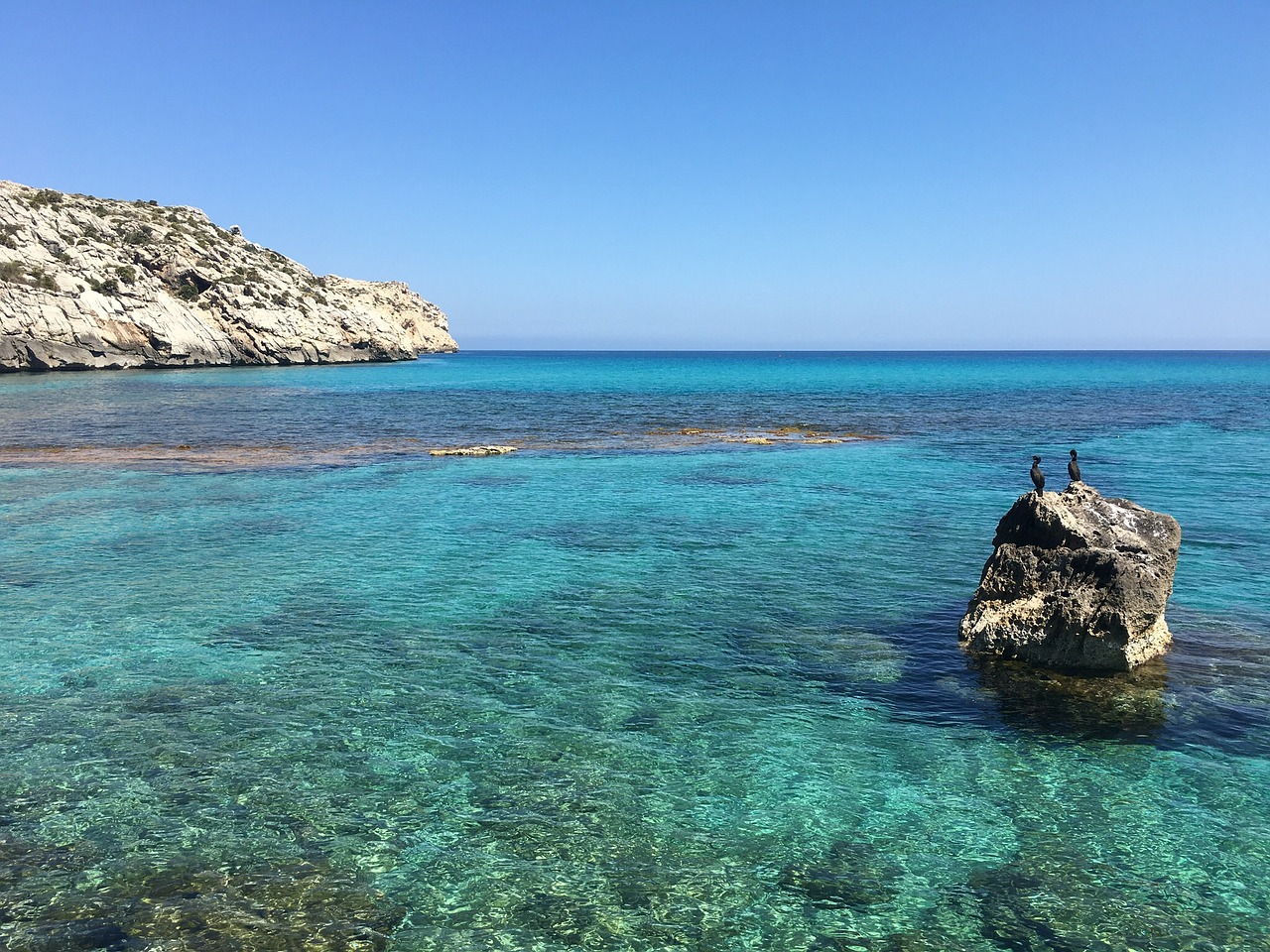 sea  waters  seascape free photo