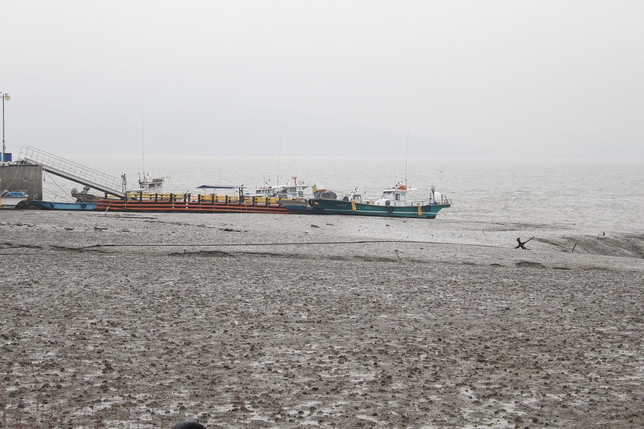 sea  transport  ship free photo