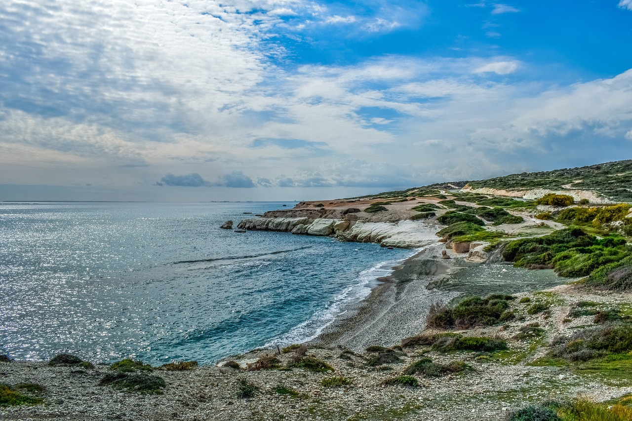 sea  water  seashore free photo