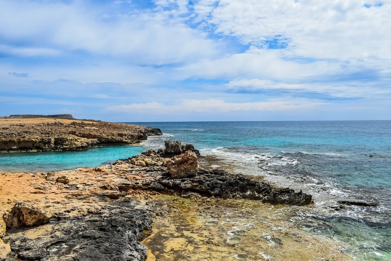 sea  water  seashore free photo