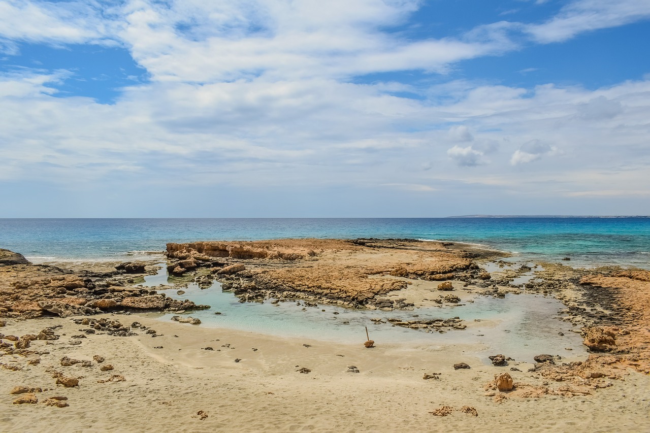 sea  water  seashore free photo