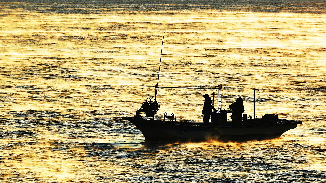 sea  fisherman  gangneung free photo