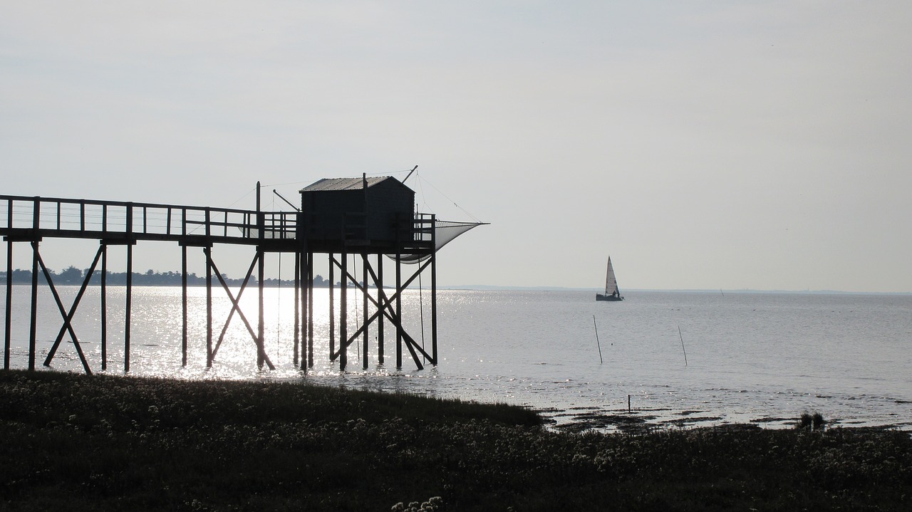 sea  side  beach free photo