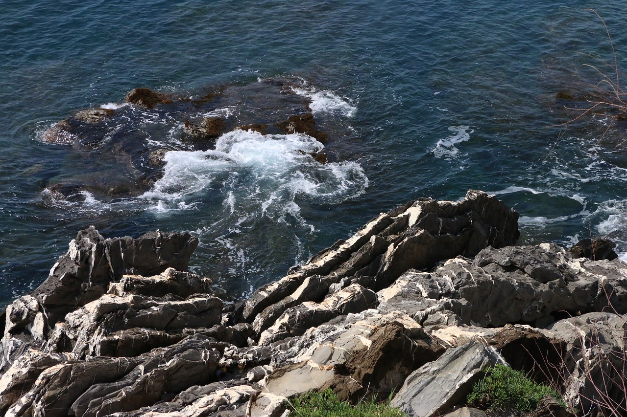 sea  rocks  waves free photo