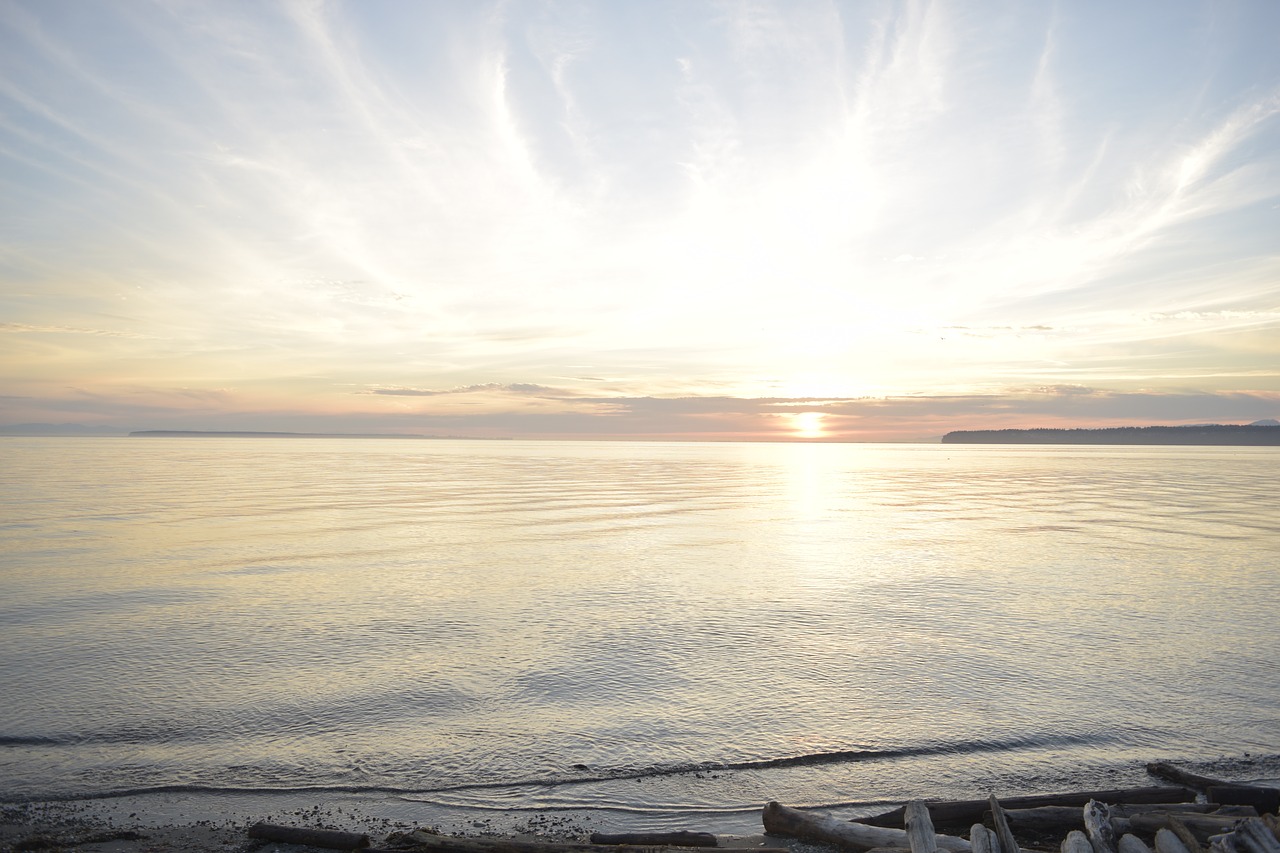 sea  sunset  shore free photo