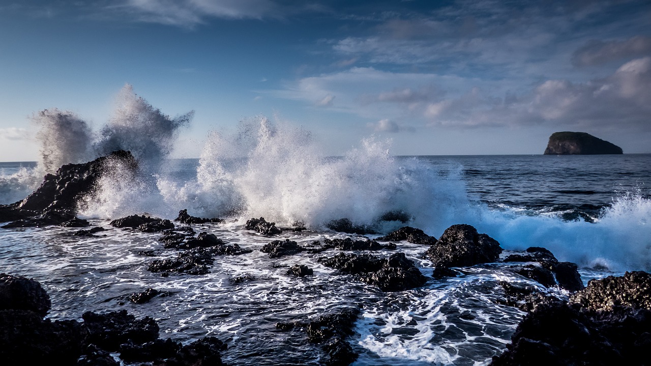 sea  ocean  surf free photo