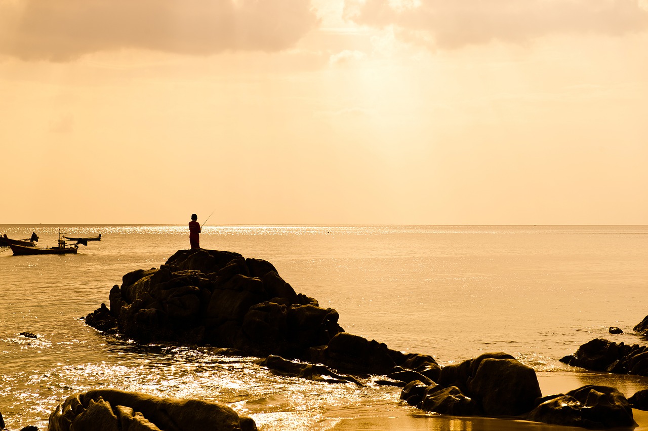 sea  fishing  beach free photo