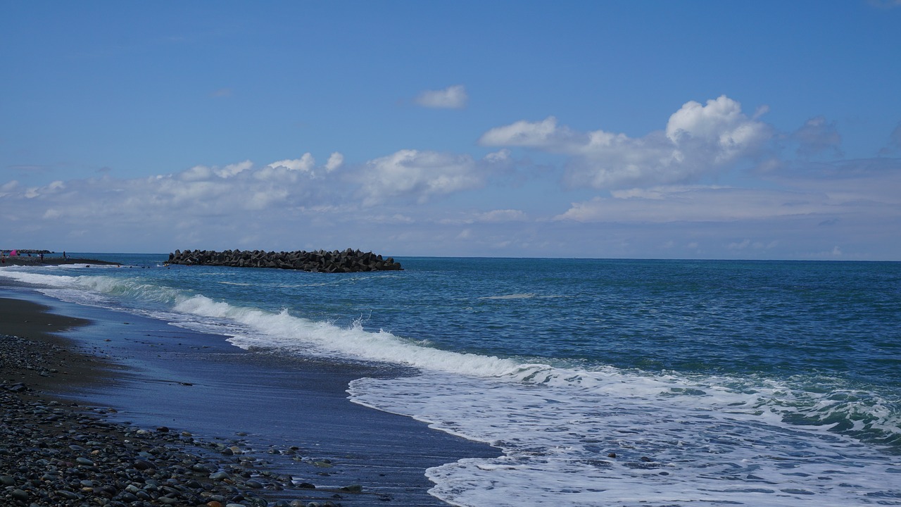 sea  beach  wave free photo