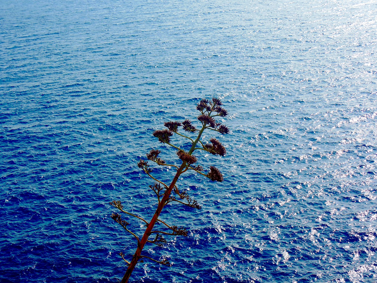 sea  mediterranean  cost free photo