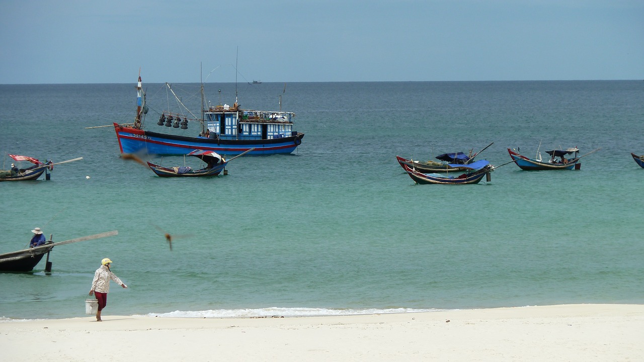 sea  fish  blue free photo