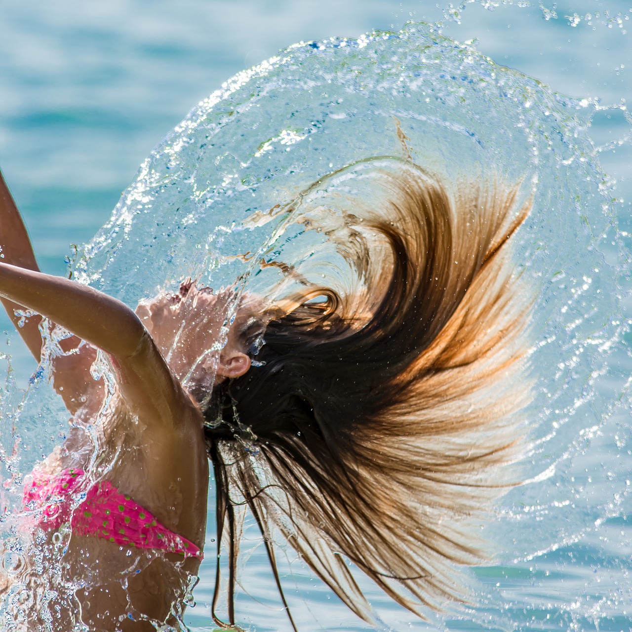 sea  summer  beach free photo