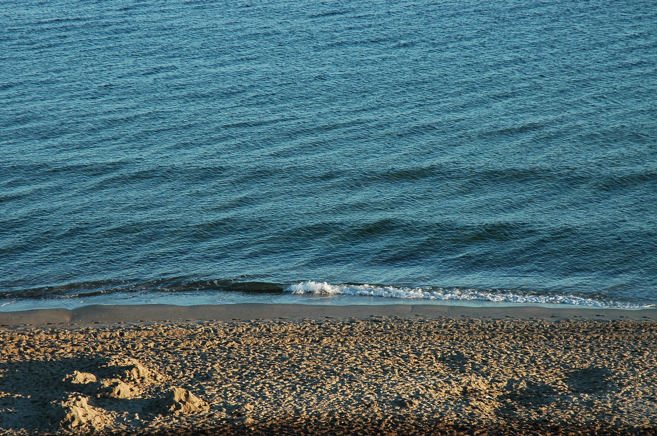 sea  beach  water free photo