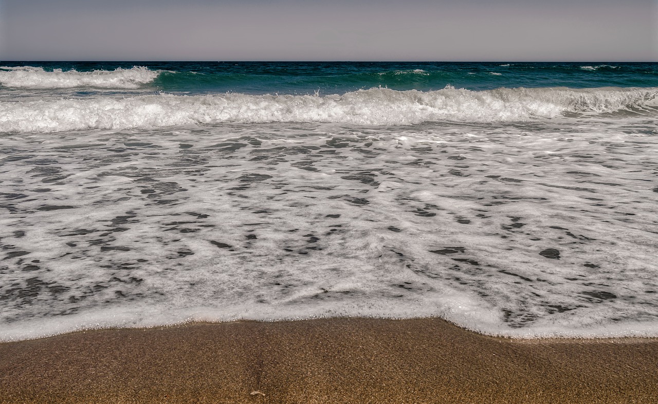 sea  beach  foam free photo