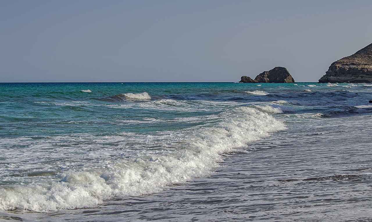 sea  beach  foam free photo