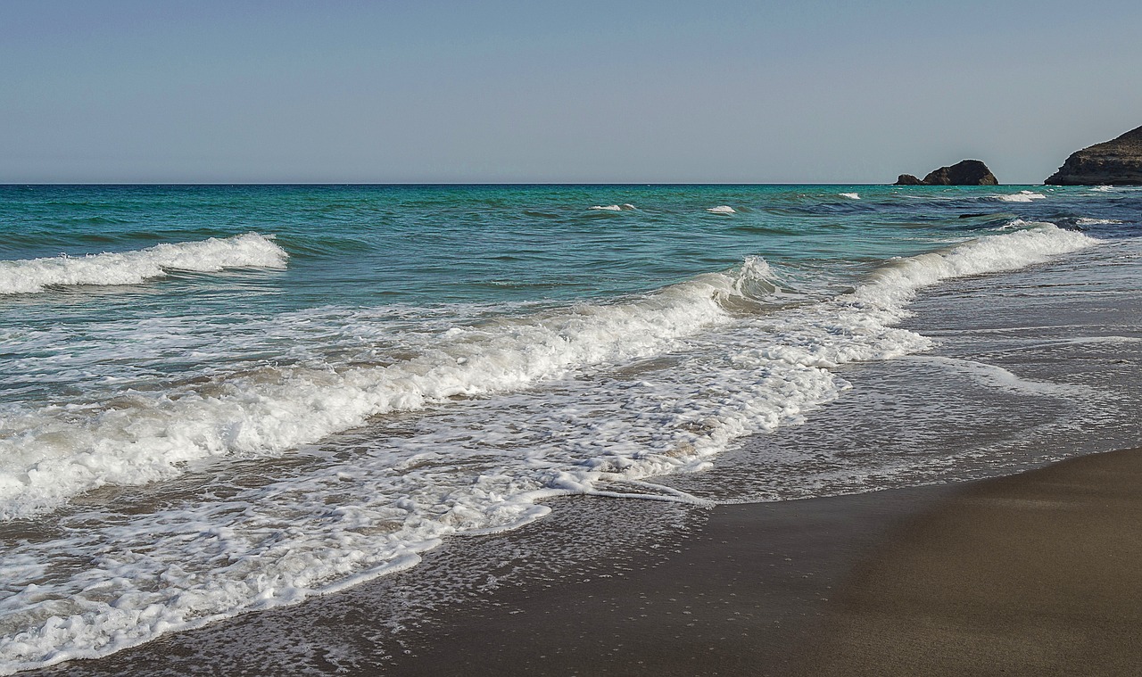 sea  beach  foam free photo