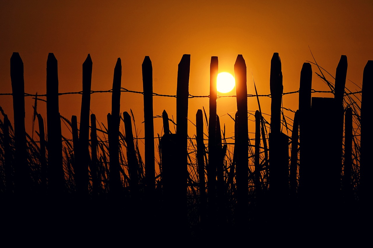 sea  fence  fence post free photo